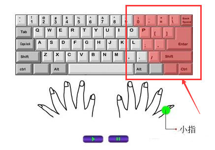 打字的时候手应该怎么放