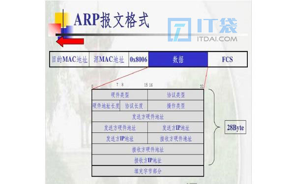 arp协议在哪一层