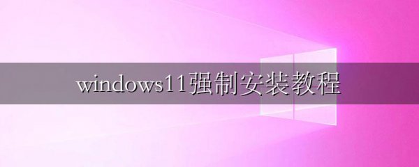 windows11强制安装教程