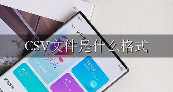 csv文件的格式 CSV文件是什么格式