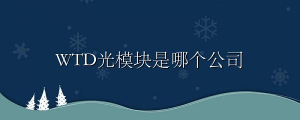 WTD光模块是哪个公司