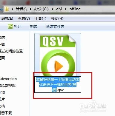 qsv格式什么文件