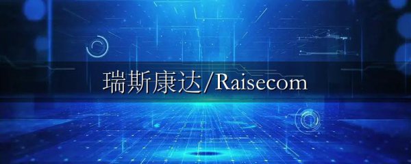 瑞斯康达/Raisecom