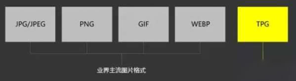 tpg是什么意思