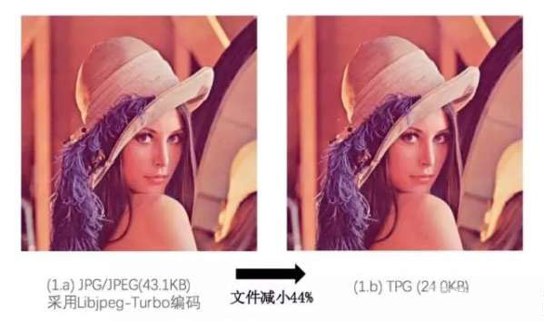 tpg是什么意思