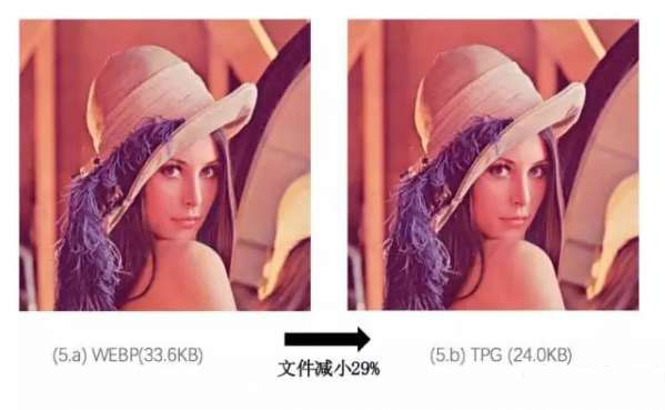 tpg是什么意思