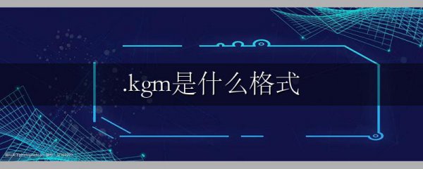 .kgm是什么格式