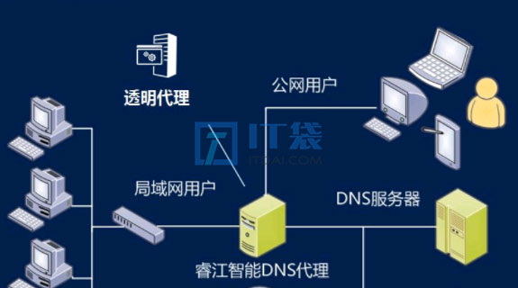 DNS的作用是什么