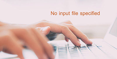 打开网站提示no file