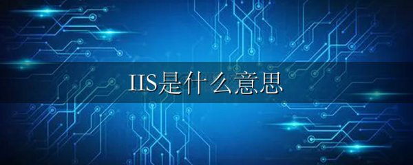IIS是什么意思