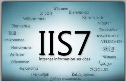 IIS是什么意思