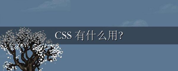 CSS 有什么用?