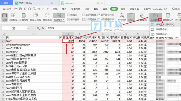 excel表格冻结窗口在哪