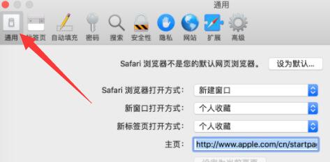 safari下载的文件位置