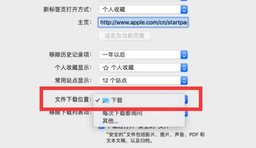 safari下载的文件位置