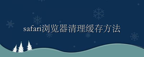 safari浏览器清理缓存方法