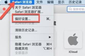 safari浏览器清理缓存方法