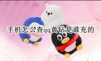 怎样查看qq黄钻是谁充的 手机怎么查qq黄钻是谁充的