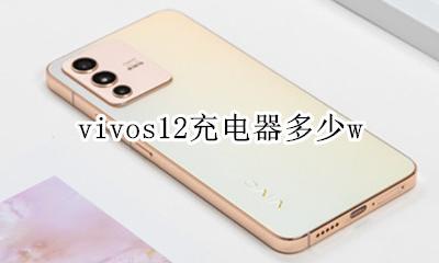 vivos12充电器多少w vivos12充电器多少瓦