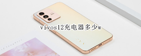vivos12充电器多少w