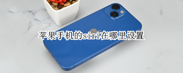 苹果手机的siri在哪里设置