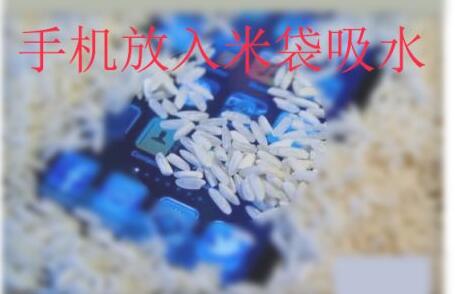 手机进水屏幕乱跳解决教程