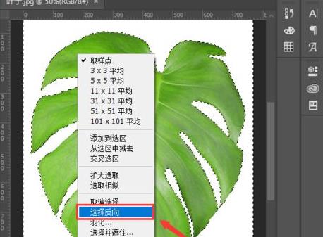 ps把图片背景变成透明教程