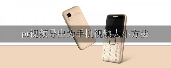 pr视频导出为手机视频大小方法