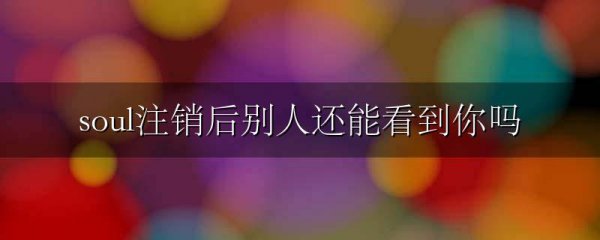soul注销后别人还能看到你吗