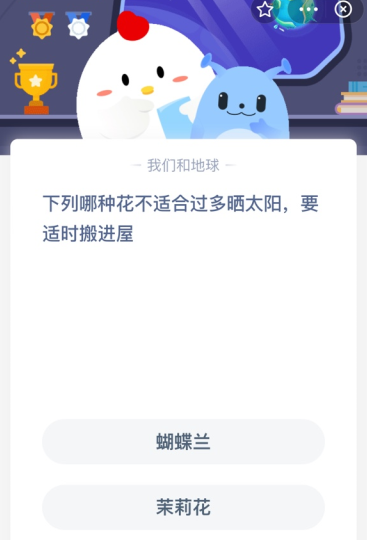 下列哪种花不适合过多晒太阳 要适时搬进屋？