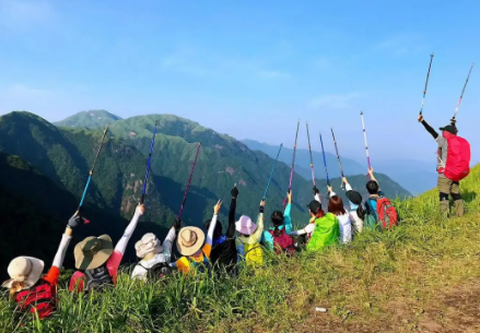 果旅聊天软件真的假的? 果旅app是干嘛的?