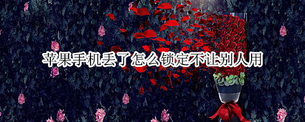 苹果手机丢了怎么锁定不让别人用