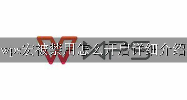 wps宏被禁用怎么开启详细介绍 WPS启用所有宏后仍提示宏被禁用