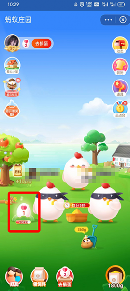 蚂蚁庄园新蛋卡没领取就没有了吗?