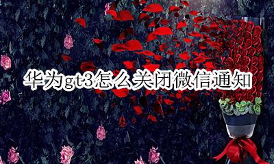 华为gt3怎么关闭微信通知 华为watch3关闭微信通知