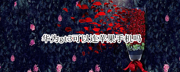 华为gt3可以连苹果手机吗