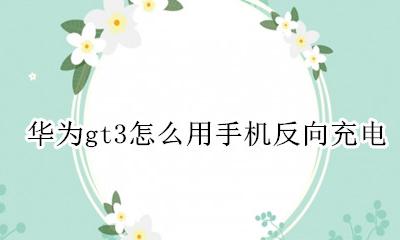 华为gt3怎么用手机反向充电 华为watch gt可以反向充电吗