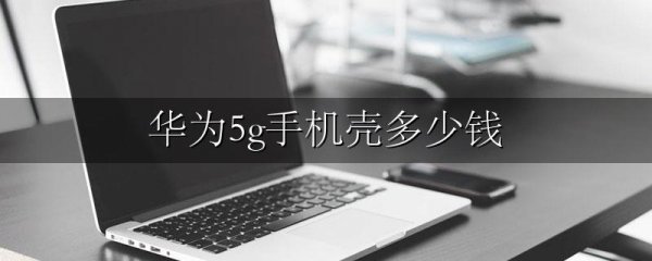华为5g手机壳多少钱