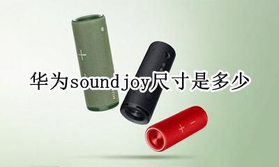 华为sound多少w 华为soundjoy尺寸是多少