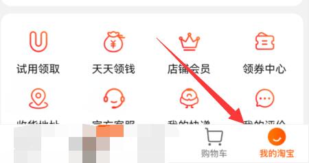 淘宝淘气值查看方法
