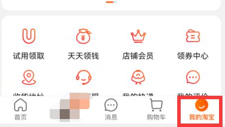 淘宝淘气值历史记录查询方法