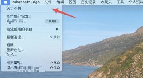 苹果电脑型号查看方法