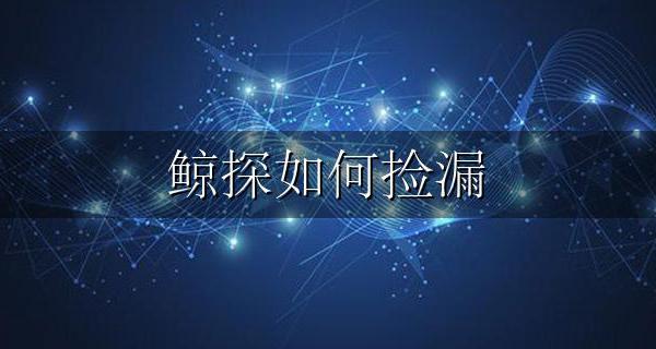 探探鲸使用 鲸探如何捡漏
