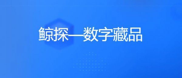 鲸探怎么赚钱