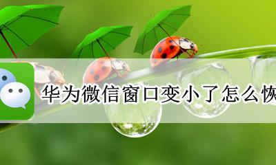 华为微信窗口变小了怎么恢复 华为微信界面变小了怎么调回正常