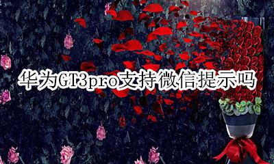 华为GT3pro支持微信提示吗 华为watch3pro支持微信吗
