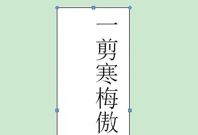 word竖排文字设置居中方法