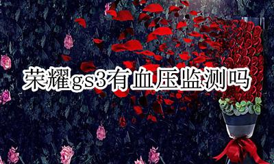 荣耀gs3有血压监测吗 荣耀gs pro能测血压吗