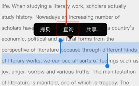 苹果手机网页内容翻译方法