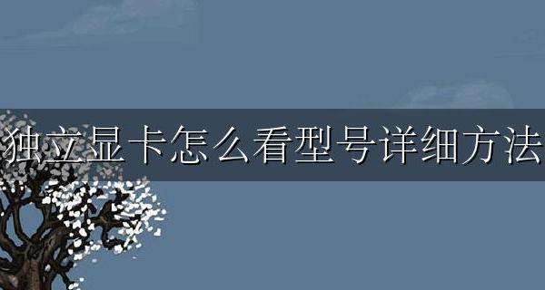 电脑如何查看独立显卡型号 独立显卡怎么看型号详细方法